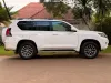 Picture of Toyota Prado 2020