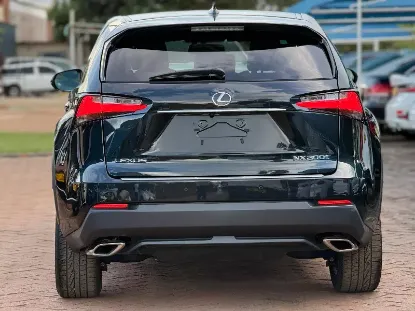 Picture of Lexus NX 2016