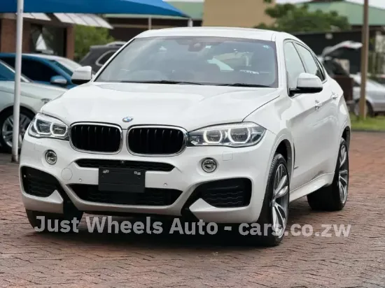 Picture of BMW X6 2017