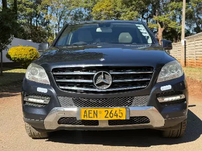 Picture of Mercedes Benz ML 2013