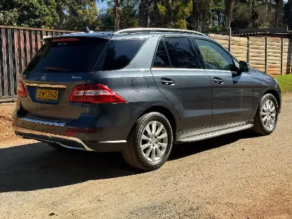 Picture of Mercedes Benz ML 2013