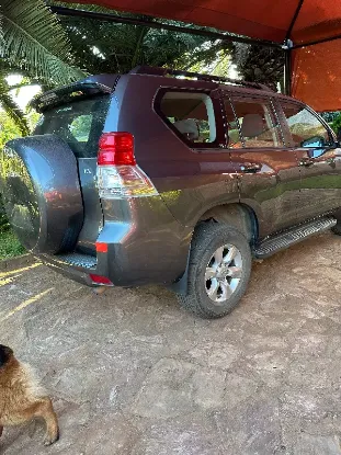 Picture of Toyota Land Cruiser 2010