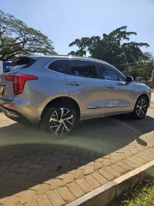 Picture of Haval Jollion 2021