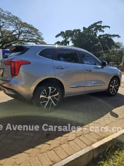 Picture of Haval Jollion 2021