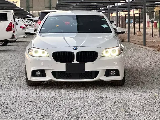 Picture of BMW 5 Series 2016