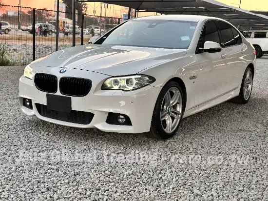 Picture of BMW 5 Series 2016