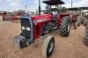 Picture of Massey ferguson MF 290 2019