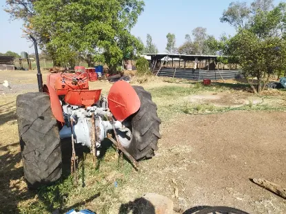 Picture of Massey ferguson 1996