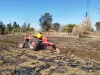 Picture of Massey ferguson 1996