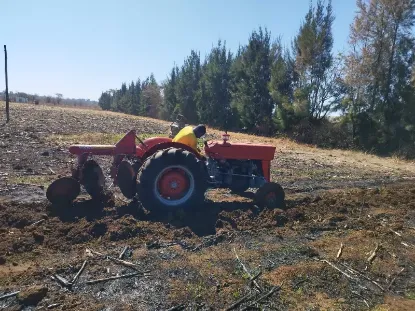 Picture of Massey ferguson 1996