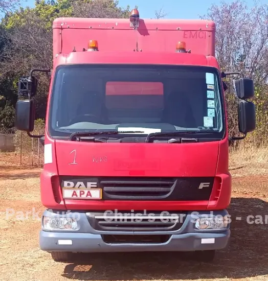 Picture of DAF 2013
