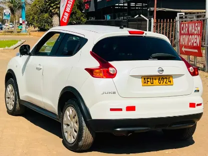 Picture of Nissan Juke 2013