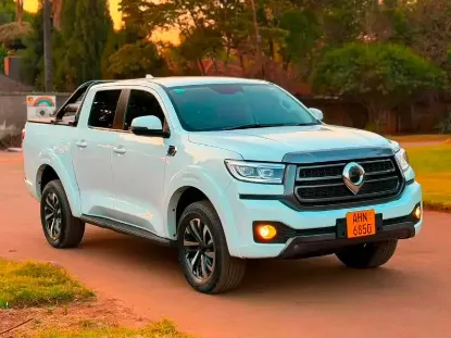Picture of Gwm P Series 2025