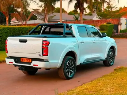 Picture of Gwm P Series 2025