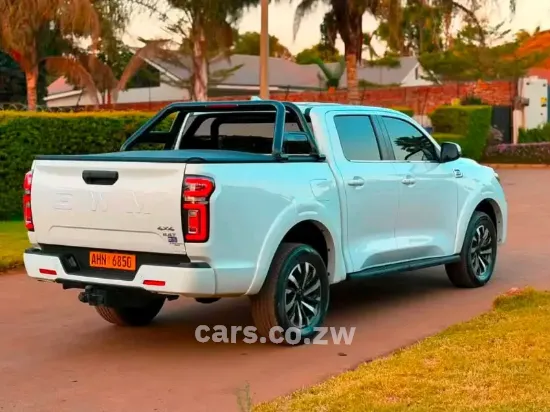 Picture of Gwm P Series 2025