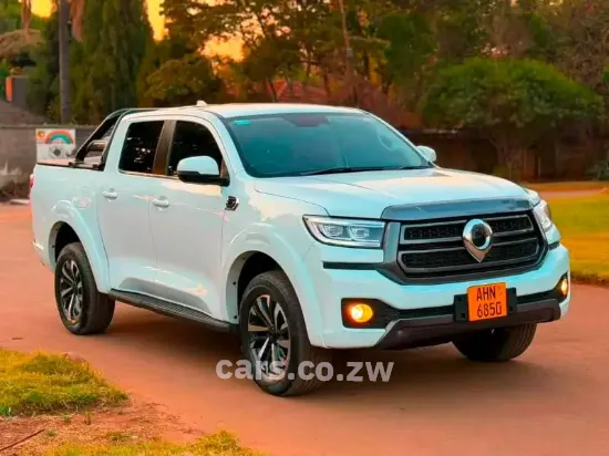 Picture of Gwm P Series 2025