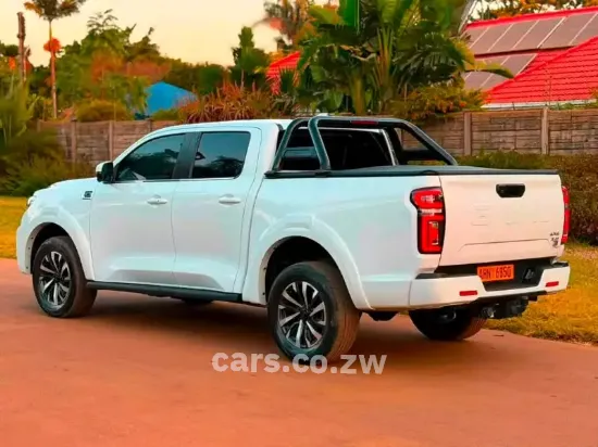 Picture of Gwm P Series 2025
