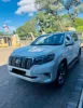 Picture of Toyota Prado 2020