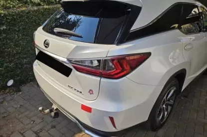 Picture of Lexus RX 2018