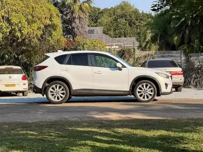 Picture of Mazda CX-5s for rental!