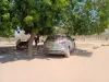 Picture of Mazda CX-5s for rental!