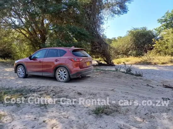 Picture of Mazda CX-5s for rental!