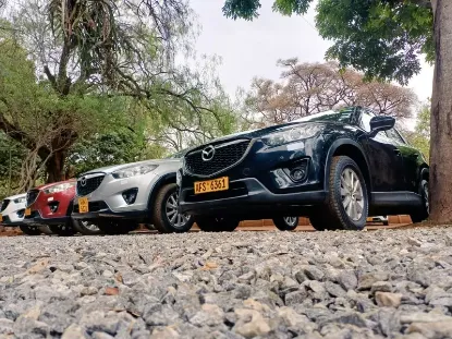 Picture of Mazda CX-5s for rental!