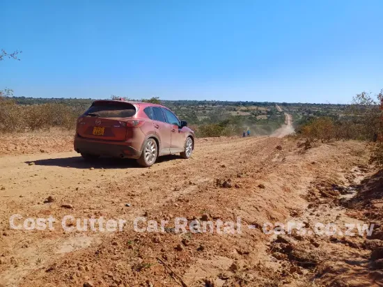 Picture of Mazda CX-5s for rental!