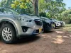 Picture of Compact SUVs - Mazda CX-5s for hire!