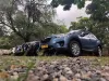 Picture of SUVs - Mazda CX-5s for hire!