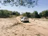 Picture of SUVs - Mazda CX-5s for hire!