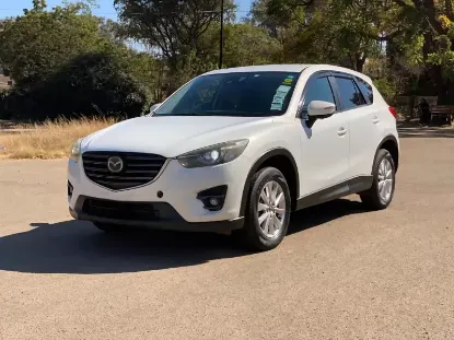 Picture of Mazda CX-5s for hire!
