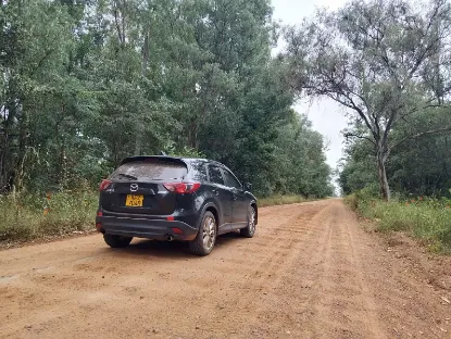 Picture of Mazda CX-5s for hire!