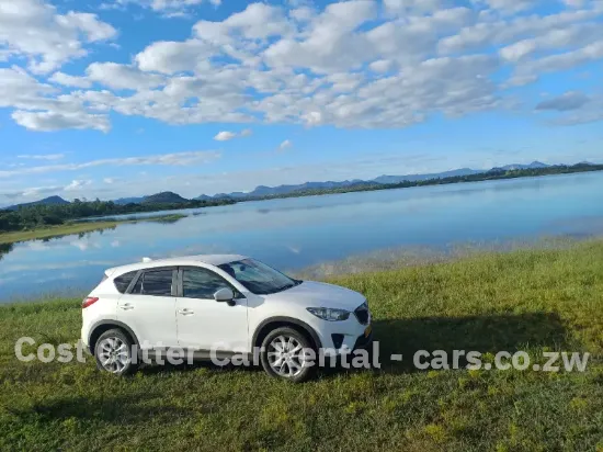 Picture of Mazda CX-5s for hire!