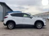 Picture of Mazda CX-5s for hire!