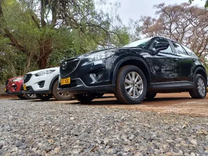 Picture of Mazda CX-5s for hire!
