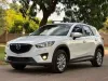 Picture of Mazda CX-5s for hire!
