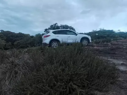 Picture of Mazda CX-5 s for hire!