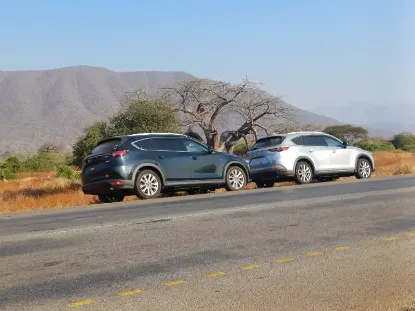 Picture of Mazda CX-8 six / seven seater for hire!