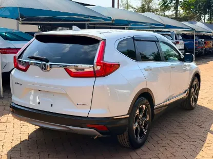 Picture of Honda CR-V 2018
