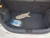 Picture of Toyota Aqua 2017