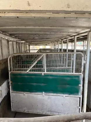 Picture of Horse Trailer