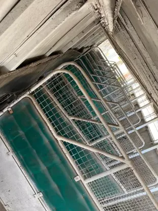 Picture of Horse Trailer