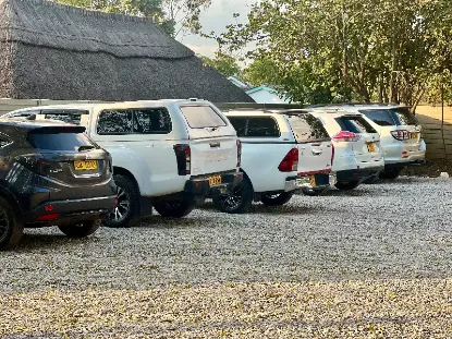 Picture of Car Rentals