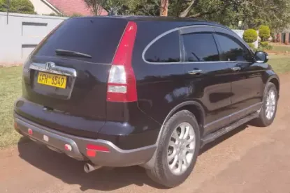 Picture of Car Rental/Car Hire: Honda CR-V (RE), comfy ride