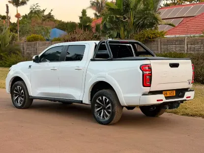 Picture of Gwm P Series 2025