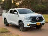 Picture of Gwm P Series 2025