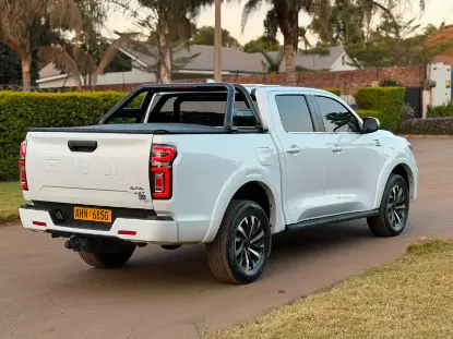Picture of Gwm P Series 2025