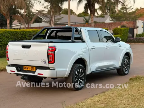 Picture of Gwm P Series 2025