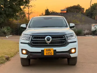 Picture of Gwm P Series 2025